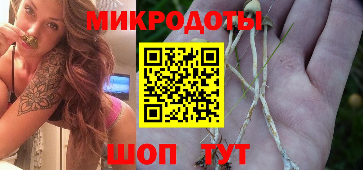 Губкин  Галлюциногенные грибы ЛСД  Вход с VPN 