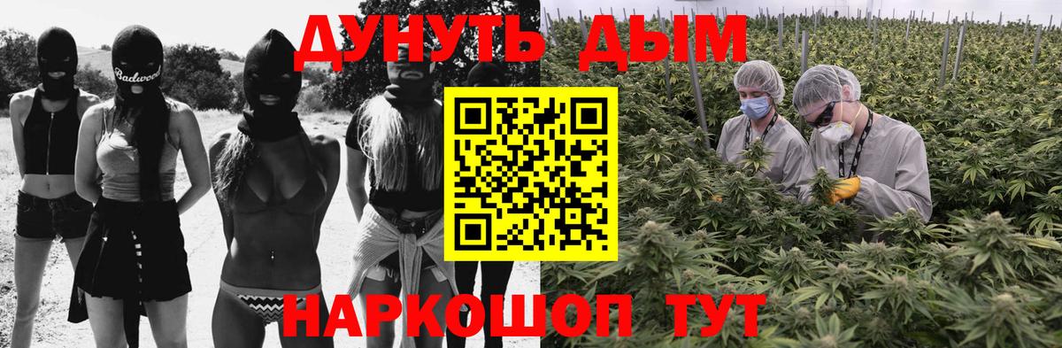 Бошки Шишки план  Канабис гибрид  Вход с VPN  Марихуана Ganja  Губкин  Бошки Шишки ГИДРОПОН 